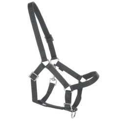 Helga Kreft »Halfter Für Gartenpferde, Schwarz«