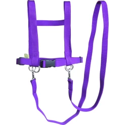 Helga Kreft Zügelmatz Pferdespielleine, Lila