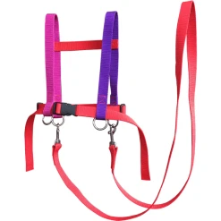 Helga Kreft Zügelmatz Pferdespielleine, Rot Bunt