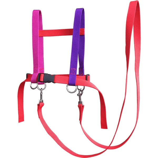 Helga Kreft Zügelmatz Pferdespielleine, Rot Bunt 3 Helga Kreft Zügelmatz Pferdespielleine, Rot Bunt