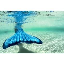 XTREM Toys And Sports - FIN FUN Meerjungfrau Mermaidens Tidal Teal 21 XTREM Toys And Sports - FIN FUN Meerjungfrau Mermaidens Tidal Teal -Smoby-Shop xtrem toys and sports fin fun meerjungfrau mermaidens tidal teal a290364 8